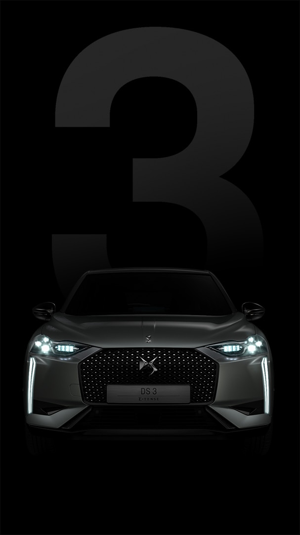 DS 4